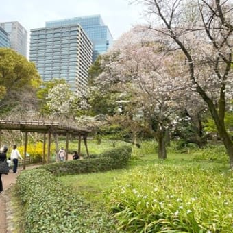 花曇りの東京へ（１）