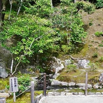 桜の道：南禅寺から銀閣寺へ　５（銀閣寺）