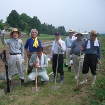 衆楽農園にサツマイモ・鳴門金時と紅アズマの苗４００本、西瓜、甜瓜等を植栽しました。