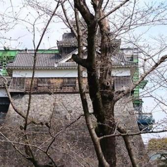 2017年春、行幸坂から見た飯田丸五階櫓