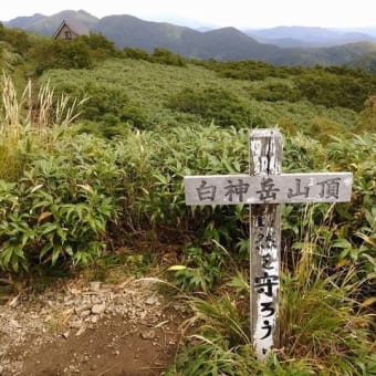 観光ブログ番外編！今年の目標達成状況
