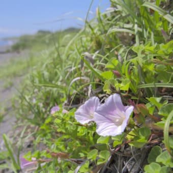 海辺の散歩と岬を歩く