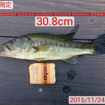 風が強いです♪