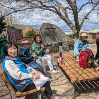 第１回ハイキング2025（石清水八幡宮、背割り堤お花見ハイキング）