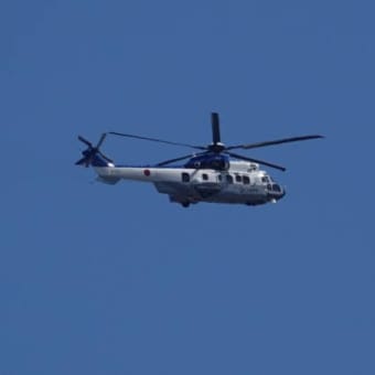 航空自衛隊　EC-1　電子戦訓練機と陸上自衛隊要人輸送ヘリコプターです
