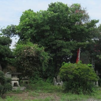 大きな塚のような山を背にした龍昌院