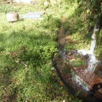 箱根水源地清掃　ボランティア活動