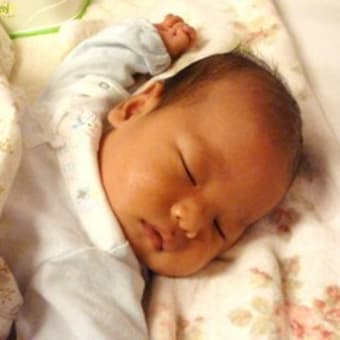 廉 の名前の由来 ちびまる主婦日記 廉 の名前の由来 ちびまる主婦日記