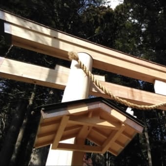 戸隠神社　中社　中社五斎神社　三本杉✨　へお礼参りに行きました　その②