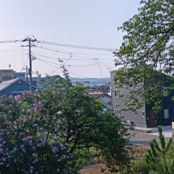アルツGさん的雑想ノート