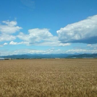 ケーナ奏者Ren螢の宵コンサート ～蛍飛び交う名草の古民家でケーナを楽しむ夕べ