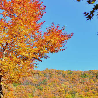 浅間山登山口　紅葉2014