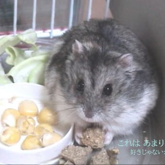 「どちらかというとかならず」って？