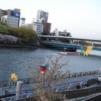 大阪城公園の桜と桃＆大川風景120414
