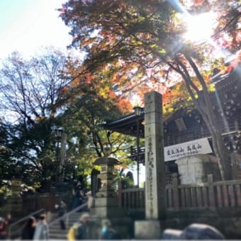 高尾山・小仏城山