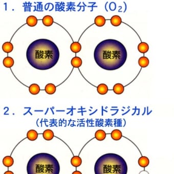 活性酸素って何？