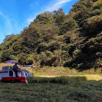 山間の田圃の稲刈り・・・今日で３日目・・・３日間天候も良く無事作業を終えました。