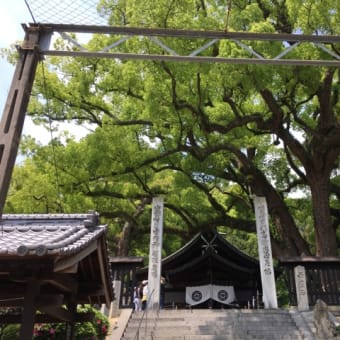 艮神社の御神木