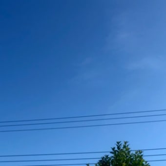 とらぷぅ💥情報＋天気6/22 とらイキる💦