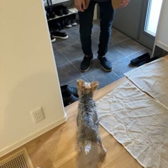 いっくんに愛でられる