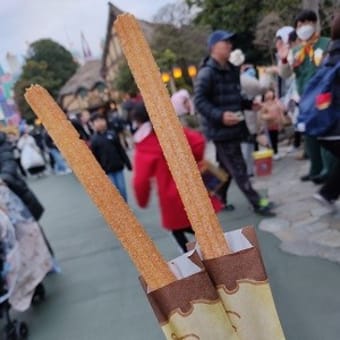 大晦日 ディズニーランド ★前編★