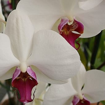 毎日寒いね・・　03-19