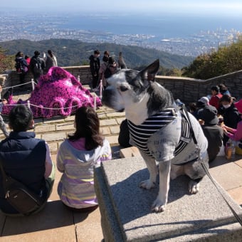 六甲山へ