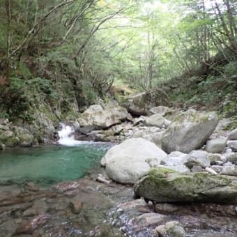 大川入山 矢作川の源流 柳川を遡行
