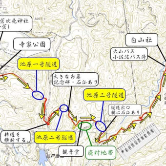 県道なのにまるで洞窟の様な手掘りトンネル！　富山県道67号線 寺家トンネル