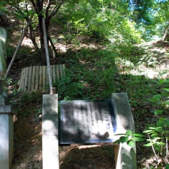 涼を求めて高尾山へ