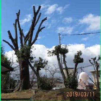 強風が去り、「春」は近し