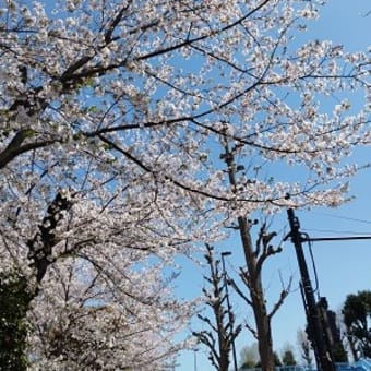 新年度、いよいよ始動