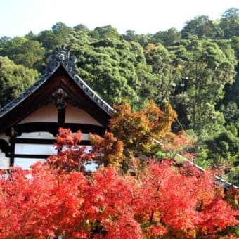 南禅寺の紅葉　2018