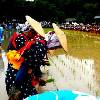 御田祭 宮崎県美郷町