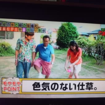 子ブタのダンスなり～