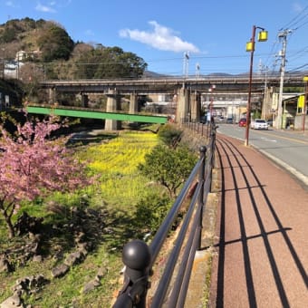 コロナウイルスと自転車