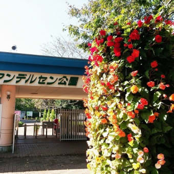 船橋アンデルセン公園