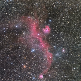 IC2177 -Seagull Nebula-