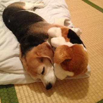 goo ブログ