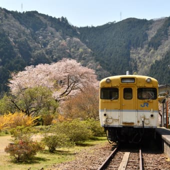 花の駅（安野駅・廃駅）No.2 200409