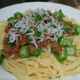 今日の晩御飯（7/20）和風にしたかった