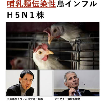 東大の河岡教授等によって、哺乳類伝染性鳥インフルH5N1株は完成していた。