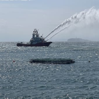 特別合同水難救助訓練を開催