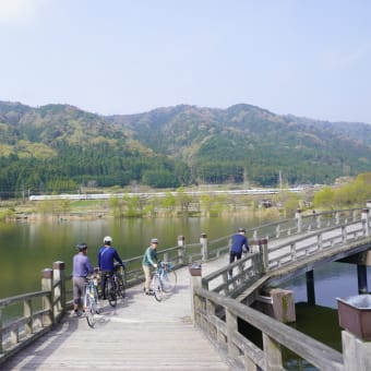 綺麗な水に癒やされて