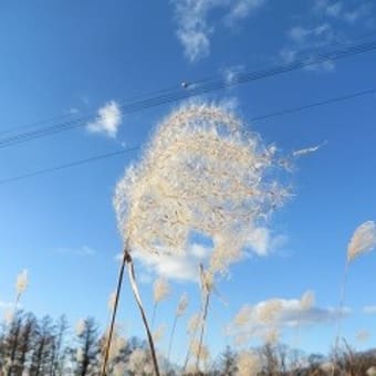 点検が来る前に