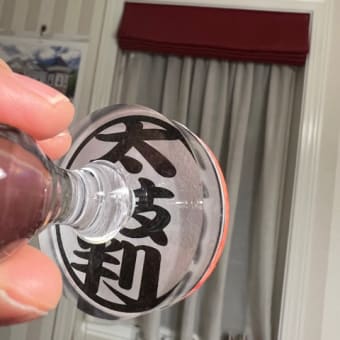 リムパーザ372日目　楽しいけれど疲れたー😅