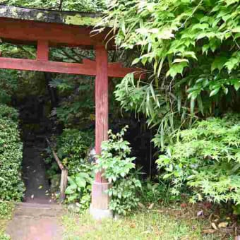 名勝・本間家旧別邸庭園「鶴舞園」に