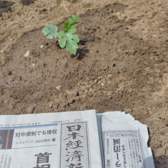 5月30日