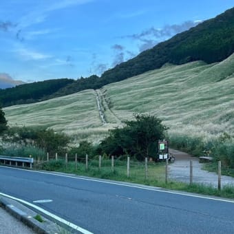 箱根の秋の必見スポットといえば、仙石原のすすき草原！九十九からも車で3分！