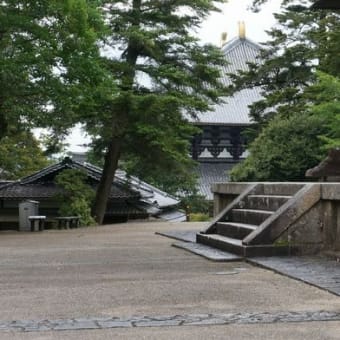 久々に奈良公園を散策